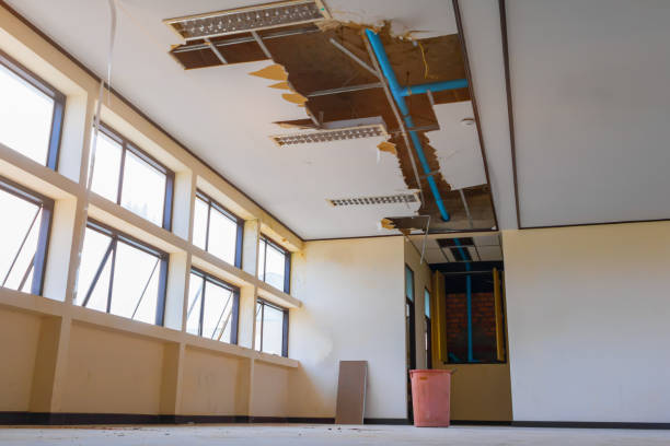 Best Flood restoration services  in Caruthersville, MO