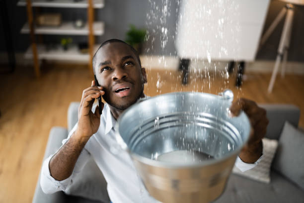 Best Commercial water damage restoration  in Caruthersville, MO