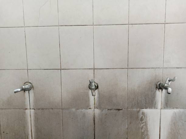 Best Residential water damage restoration  in Caruthersville, MO