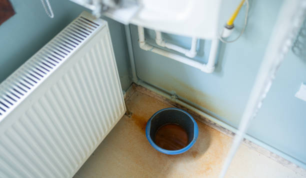 Best Water damage restoration cost  in Caruthersville, MO
