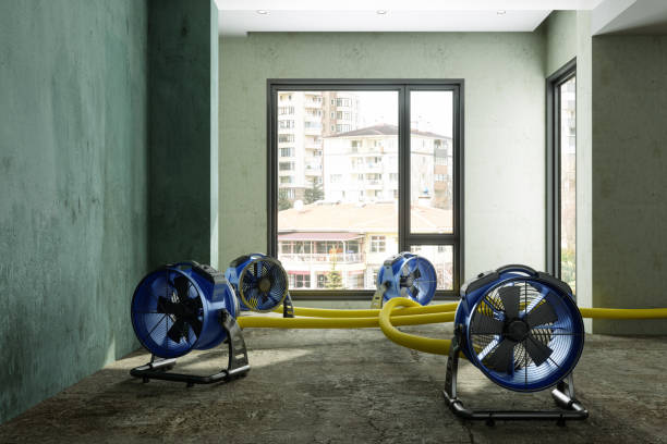 Best Fire Damage Restoration  in Caruthersville, MO