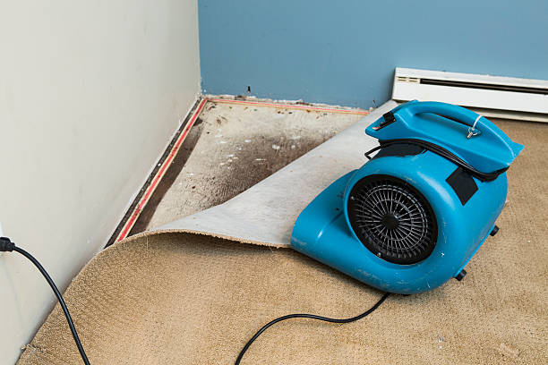 Best Sewage cleanup and water damage restoration  in Caruthersville, MO